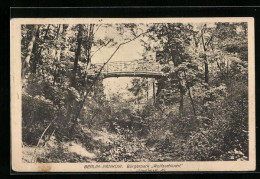 AK Berlin-Pankow, Bürgerpark Wolfsschlucht  - Pankow