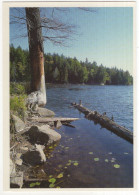 Ontario - Algonquin Park, Smoke Lake - (Canada) - North Bay