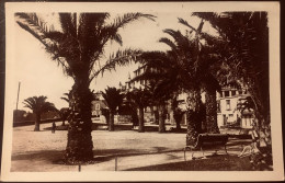 DINARD - Les Palmiers De La Promenade Clair De Lune 1936. - Dinard