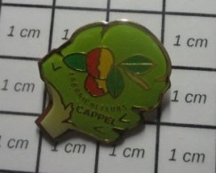 313J Pin's Pins / Beau Et Rare / MARQUES / ARBRE VERT POMME POMMIER ARBORICULTEURS CAPPEL - Trademarks