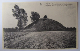BELGIQUE - LIMBOURG - TONGEREN (TONGRES) - Tumulus, Tombeau Des Anciens Romains - Tongeren