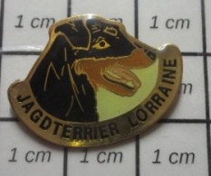 312B Pin's Pins / Beau Et Rare / ANIMAUX / CHIEN NOIR JAGDTERRIER LORRAINE - Animaux