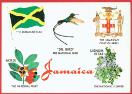 Jamaica - A Land Of Tropical Splendour - Jamaican Flag Bird Coat Of Arms Fruit Flower - Drapeau Armoiries Oiseau Fruit - Giamaica