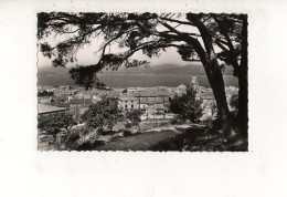 SAINT TROPEZ  (carte Photo) - Saint-Tropez