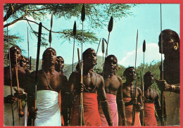 Kenya - Kensta Tribes Series - Maasai Warriors - Guerriers MassaÏ - Kenia