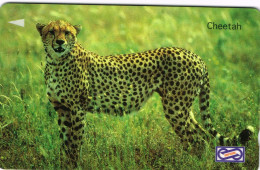 Afrique Du Sud Uni Phonekad Phonecard Telecarte Leopard Guepard Animal Felin Cheetah UT BE - Sudafrica