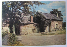 BELGIQUE - LUXEMBOURG - SAINTE-ODE - Vieille Maison - Sainte-Ode