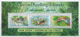 Cocos Islands 1992 SG269 Buff-banded Rail MS MNH - Isole Cocos (Keeling)