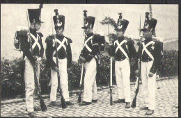 BELGIQUE Fête Militaire Du Centenaire No 5. Infanterie De Ligne 1831 * - Uniformes