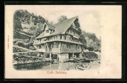 Relief-AK Seelisberg, Gasthaus Zur Treib  - Other & Unclassified