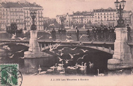 GENEVE  - Les Mouettes A Geneve - 1915 - Autres & Non Classés