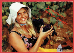 Collection Bourguignonne - Je Vous Invite Aux Vendanges - Vigne Vin Cave Viticulture Raisins Folklore Coiffe Costume - Bourgogne