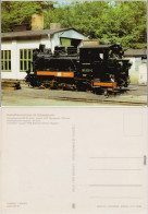 Dampflokomotive Im Ostseebezirk, Schmalspurbahn BR 99 4631 Erbaut 1913 C1985 - Treinen