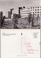 Lublin Uniwersytet Marii Curie-Sklodowskiej Biologicum Et Geographicum 1965 - Polonia