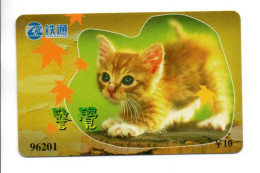 Chat Cat Télécarte Chine Phonecard (K 323)) - Cina