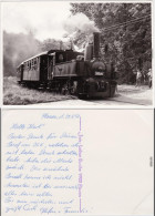 Dompflokomotive Mit Personen-Waggons - Typ 310 093 Ansichtskarte 1990 - Treinen