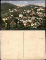 Ansichtskarte Eisenach Panorama Blick Mit Mariental Und Wartburg 1910 - Eisenach