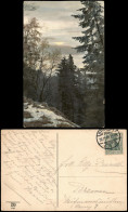 Ansichtskarte  Stimmungsbild: Natur Winter Blick Durch Wald Auf See 1908 - Non Classés
