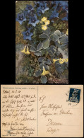 Ansichtskarte  Alpenflora Botanik :: Blumen Primula Auricula 1923 - Altri & Non Classificati