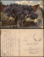 Ansichtskarte  Stimmungsbild: Frühling Dorfstraße Kinder Unter Flieder 1912 - Sonstige & Ohne Zuordnung