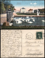 München Schloss Nymphenburg, Mann Beim Füttern Der Schwäne 1928 - Muenchen