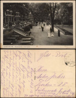 Ansichtskarte Südviertel-Essen (Ruhr) Stadtgarten-Terrasse 1917 - Essen