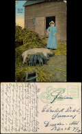 Kanada (allgemein) Bauern - Landwirtschaft Kanada Frau Schweine Farmer 1914 - Unclassified