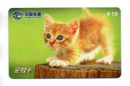 Chat Cat Télécarte Chine Phonecard (K 324) - Chine