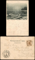 Postcard Markt Eisenstein Železná Ruda Schwarzer See 1899  Ankunftsstempel Taus - República Checa