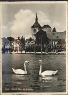 11679042 Arbon  TG Am Bodensee Schwan Kirche  - Sonstige & Ohne Zuordnung