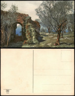 Ansichtskarte  Stimmungsbild: Frühling, Ruine Baumblüte Photochromie 1912 - Autres & Non Classés