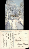 Ansichtskarte Rehefeld-Altenberg (Erzgebirge) Stimmungsbild Winter Schnee 1913 - Rehefeld