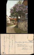 Ansichtskarte  Stimmungsbild: Frühling, Baumblüte - Dorfpartie 1912 - Other & Unclassified