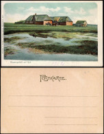 Ansichtskarte Sylt Bauerngehöft Auf Sylt 1906 - Sonstige & Ohne Zuordnung