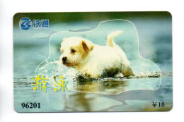 Chien Dog Télécarte Chine Phonecard (K 325) - Cina