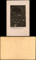 Foto  Botanik :: Blumen Buschwindröschen 1922 Privatfoto - Autres & Non Classés