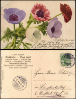 Ansichtskarte  Botanik :: Blumen U.a. Mohnblume Farblichtdruck 1905 - Otros & Sin Clasificación