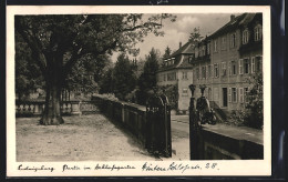 AK Ludwigsburg / Württ., Partie Im Schlossgarten, Fassade Der Villen  - Ludwigsburg