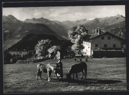 Cartolina Avelengo, Albergo E Pensione Tschitt  - Autres & Non Classés