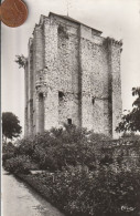 86 -  Carte Postale Semi Moderne De LA ROCHE POSAY    Le Donjon - La Roche Posay