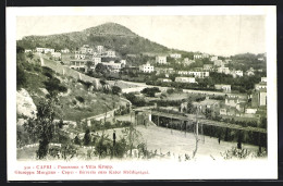 Cartolina Capri, Panorama E Villa Krupp  - Autres & Non Classés