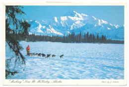 CPSM 10.5 X 15 Etats Unis USA (24) Alaska Mt MCKINLEY  Mushing  Chiens De Traineau World Famous Musher Joe Redington And - Autres & Non Classés