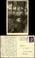 Ansichtskarte  Stimmungsbilder: Natur Wiesenbächlein 1943 - Non Classés