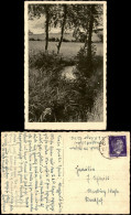 Ansichtskarte  Stimmungsbilder: Natur Wiesenbächlein 1943 - Unclassified