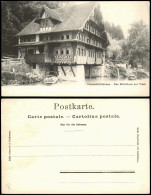 Luzern Lucerna Vierwaldstättersee - Das Wirtshaus Zur Treib 1907 - Sonstige & Ohne Zuordnung