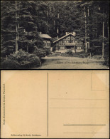 Dittersbach (Böhm. Schweiz) Jetřichovice Balzhütte Böhmen Bohemia 1922 - Czech Republic