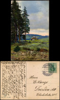 Ansichtskarte  Stimmungsbilder: Natur Hütte Am Waldesrand Photochromie 1913 - Zonder Classificatie