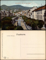 Postcard Karlsbad Karlovy Vary Alte Und Neue Wiese. 1913 - República Checa