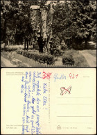 Ansichtskarte Kamern (Havel) Hedemicke Naturdenkmal 1966 - Other & Unclassified