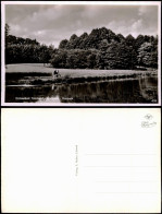 Ansichtskarte Timmendorfer Strand Kurpark, Fotokarte 1954 - Sonstige & Ohne Zuordnung